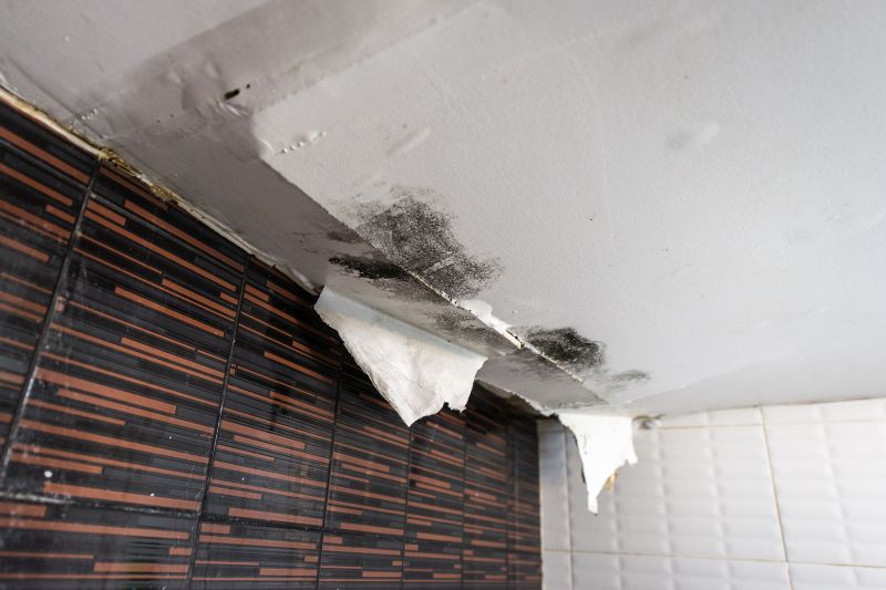 Attic Water Damage Repair in Denver County, CO